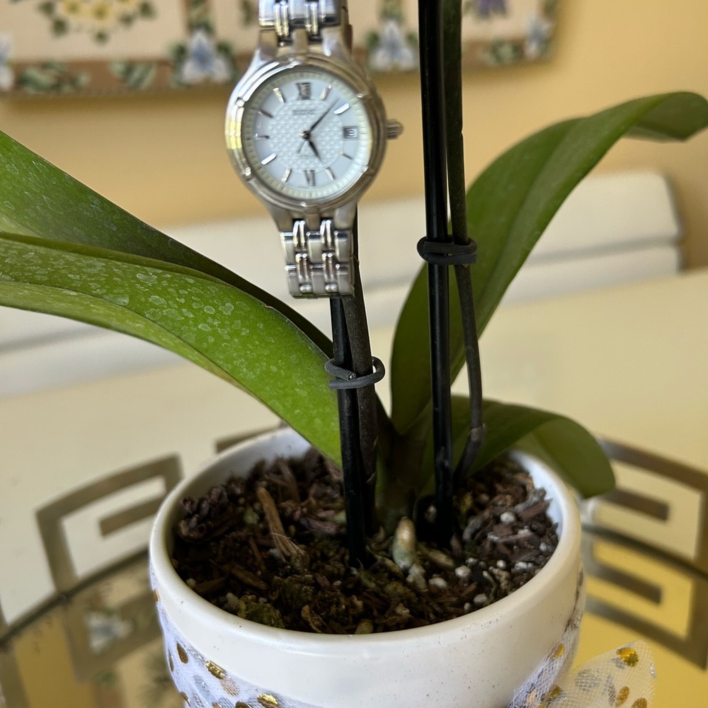 Seiko Silver Women's Watch with Date Window